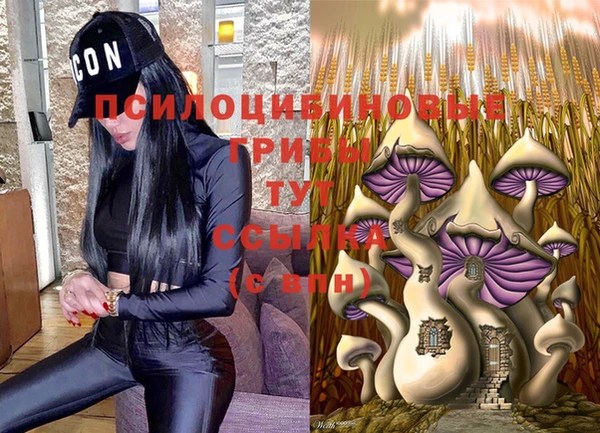 apvp Пролетарск