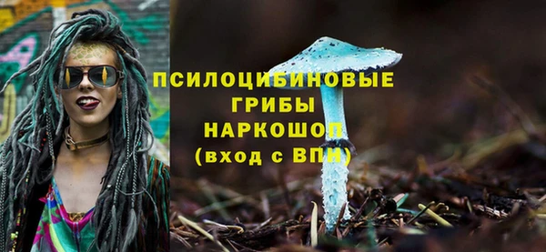 амф Покачи