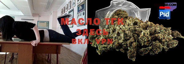 дмт Щигры
