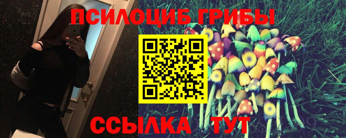 Псилоцибиновые грибы Cubensis  Мегион 
