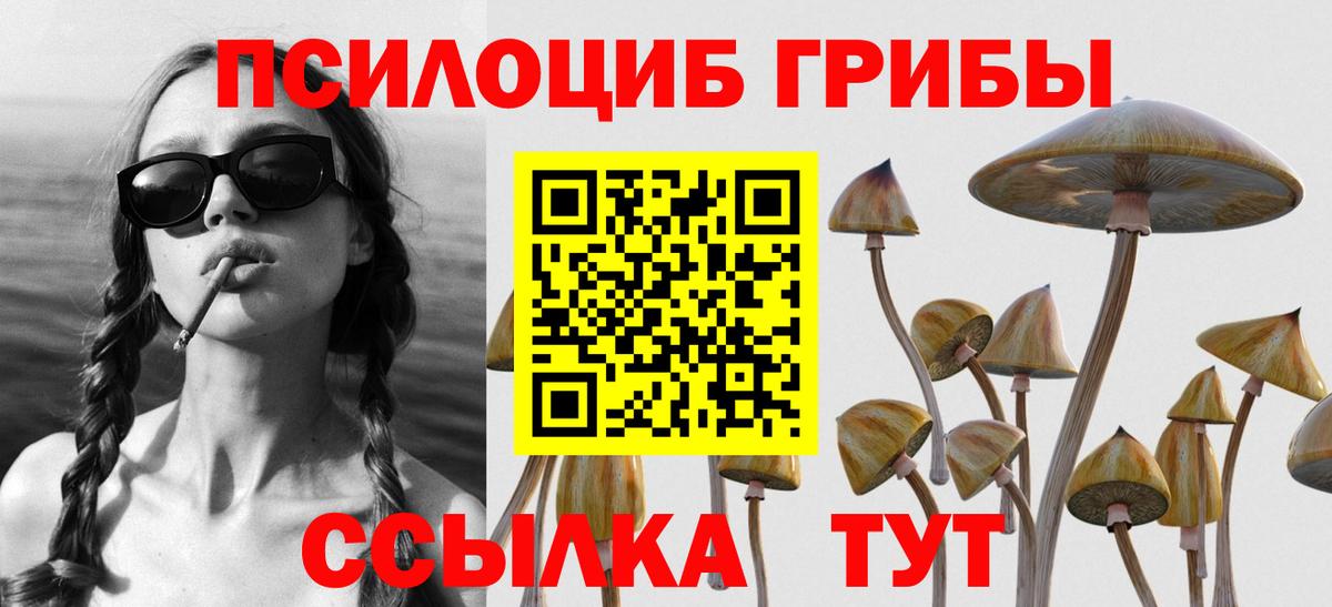 Псилоцибиновые грибы Psilocybe  Галлюциногенные грибы GOLDEN TEACHER  Вход с VPN  наркотики  Мегион 